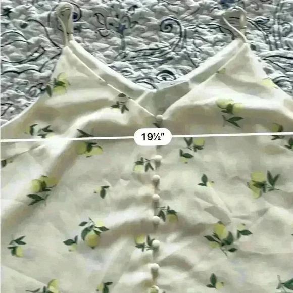 Sophie Rue xl cream chiffon top - Picture 5 of 5